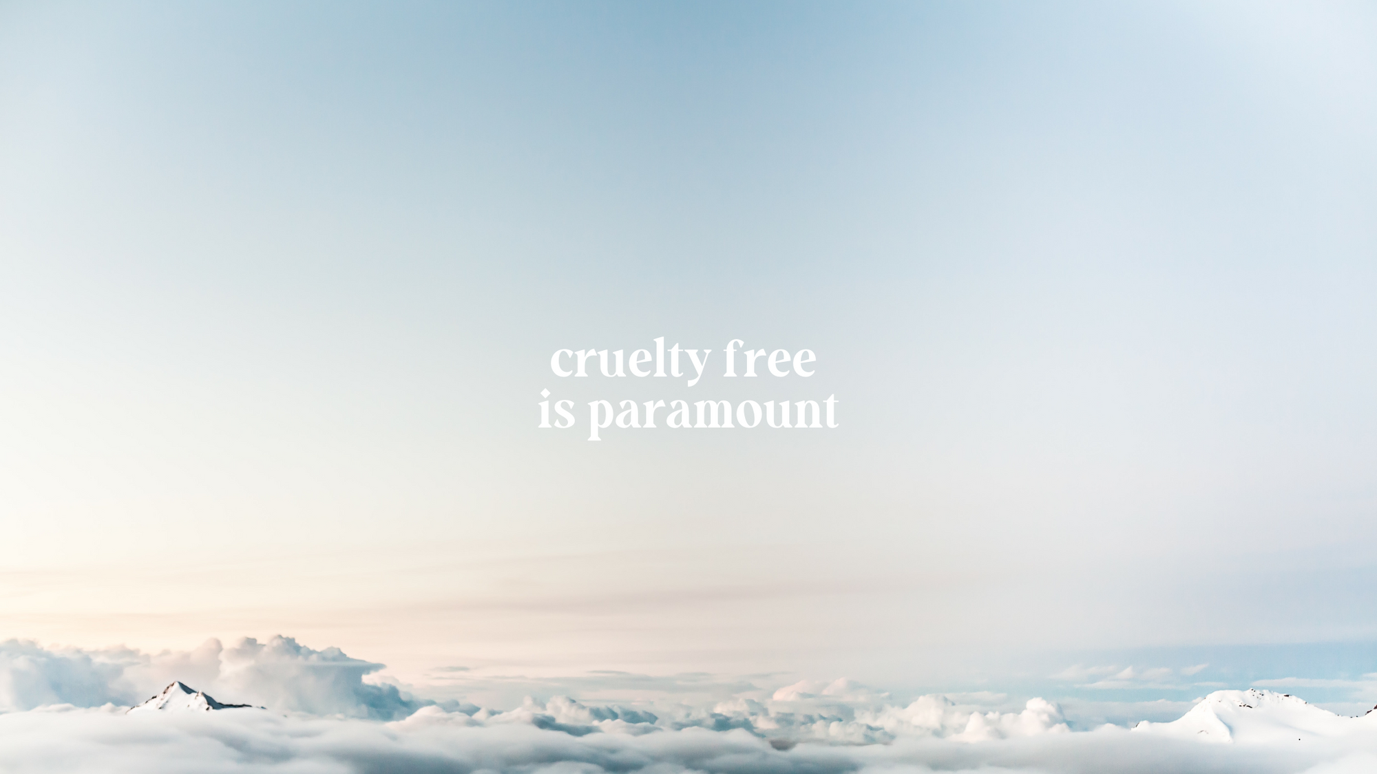 Cruelty-Free Meaning Explained | Ink Nurse