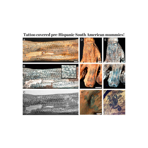 What We Can Learn from the Ancient Tattoos of Peru's Chancay Culture