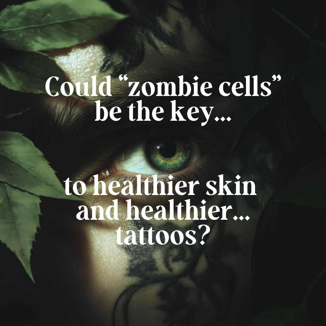 ZOMBIE CELLS! Can Senolytics and Biomimicry Revolutionise Skincare and Tattoo Aftercare?